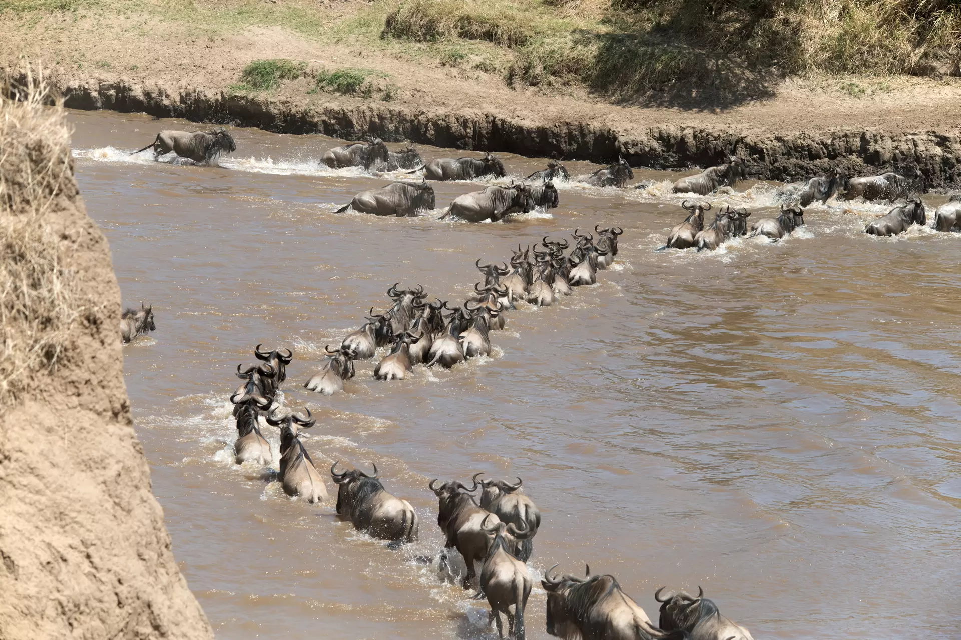 Serengeti-Migration-Safari-4