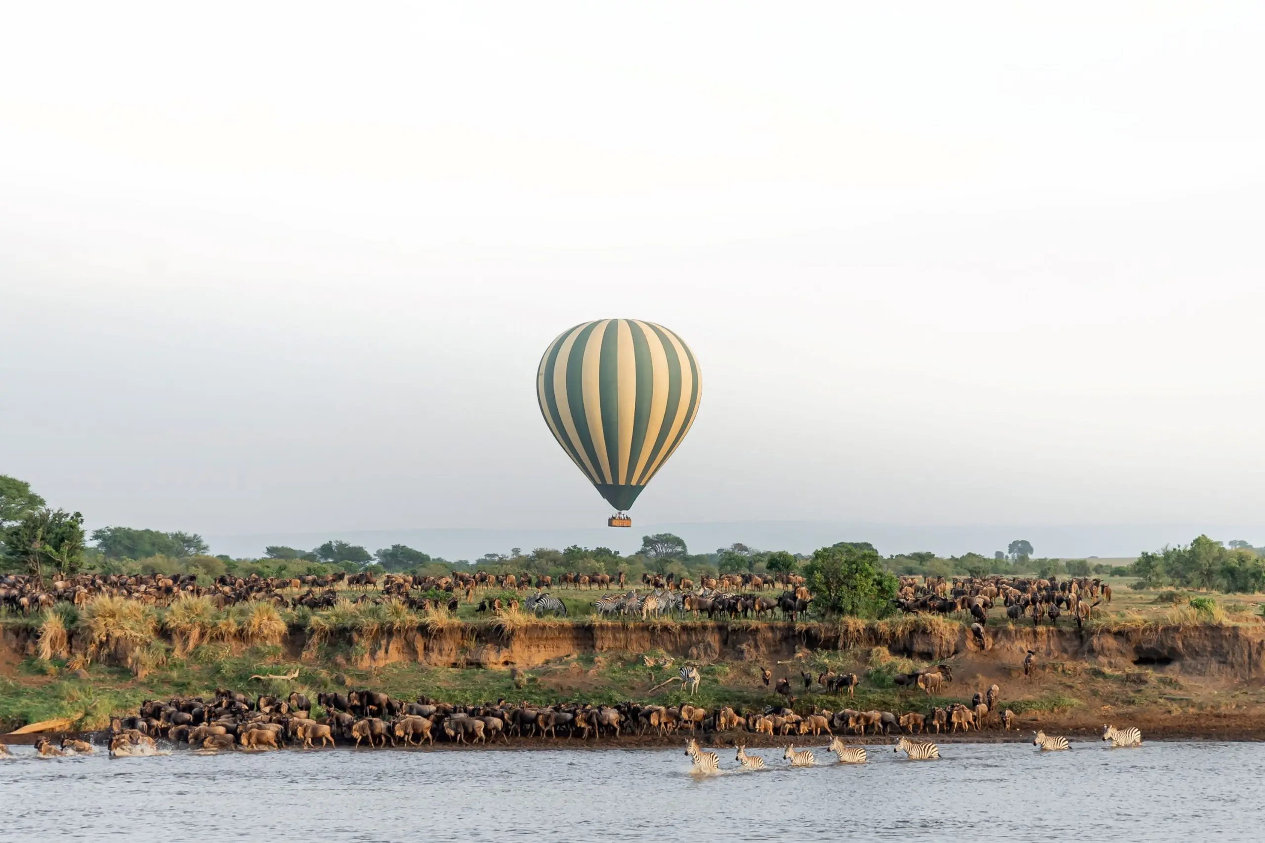 EditedHaloimagemigrationSerengetiBalloonSafaris2-scaled