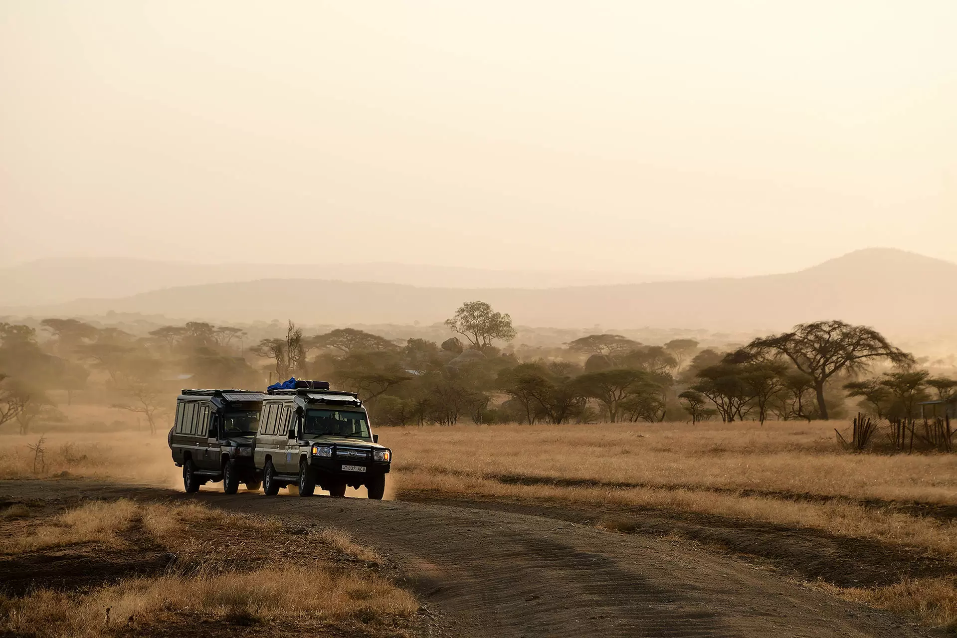 Ngorongoro Crater (1)