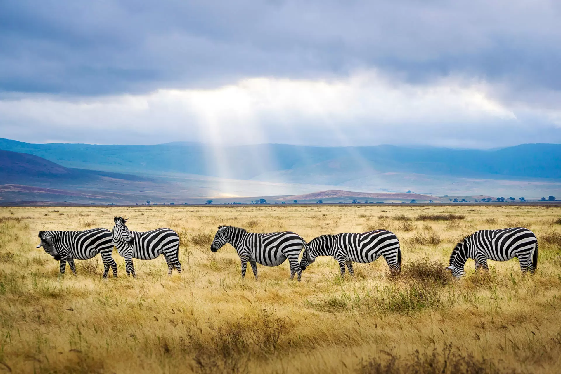 Ngorongoro Crater (3)