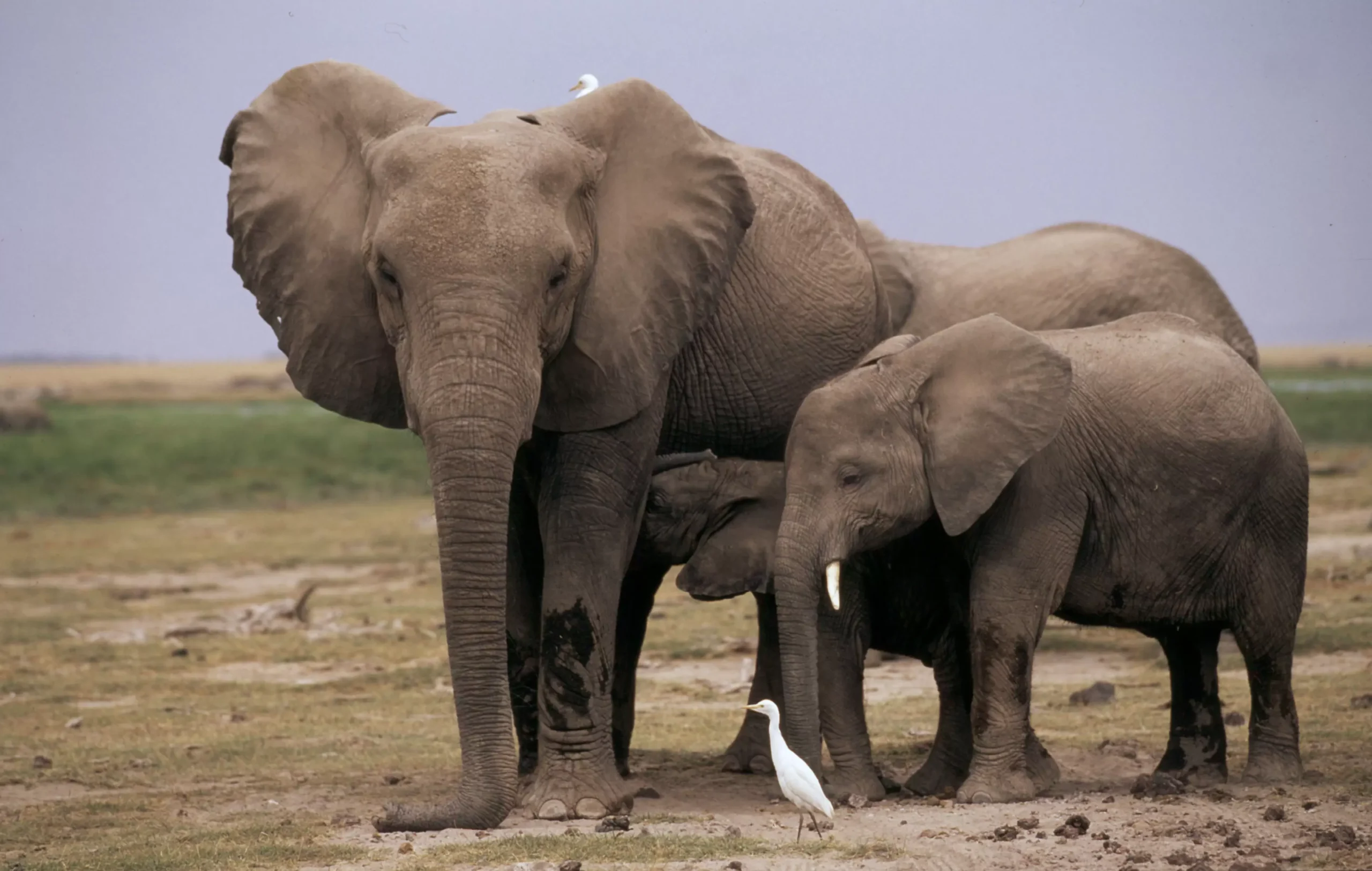 Nyerere-National-Park-2