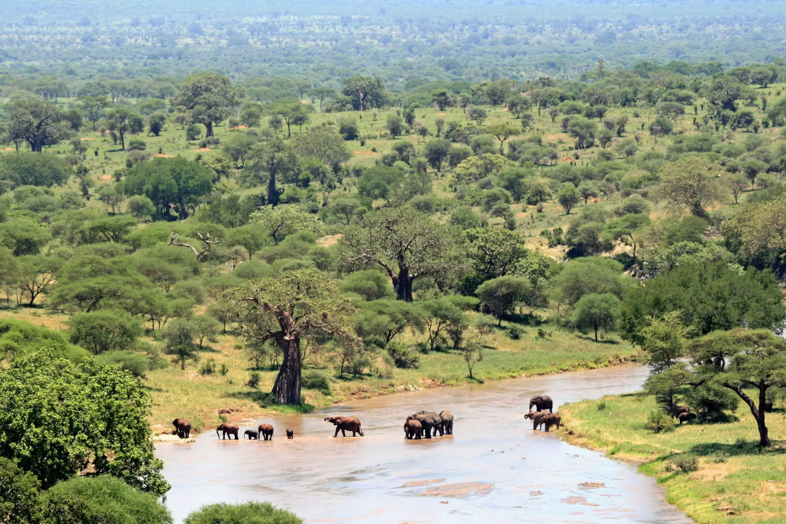 Tarangire National Park (4)